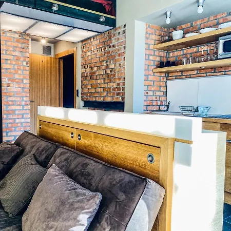 Zwierzyniecka Lofts With Patio, Cracow Heart Old Town Apartment Krakow